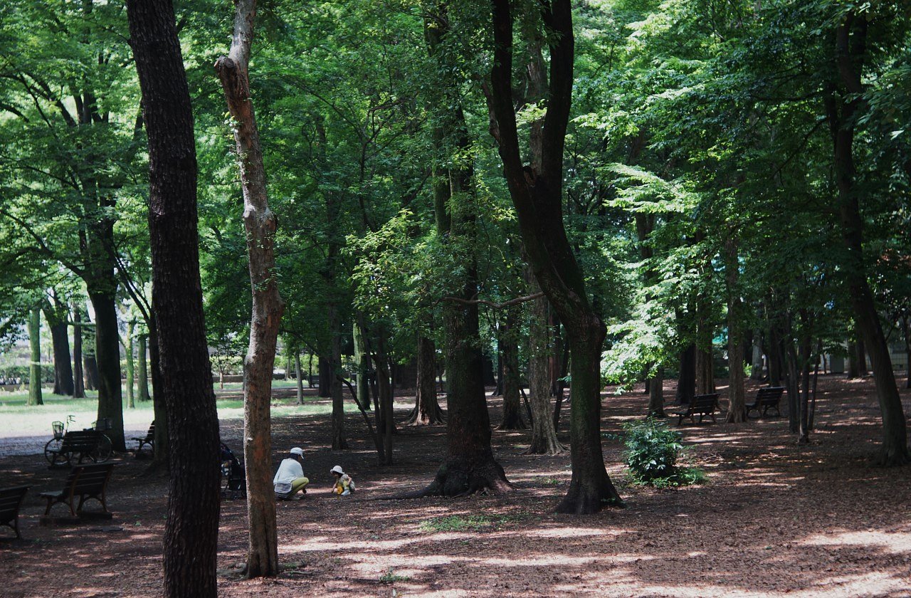 梅雨の合間、蘆花公園にて・・・