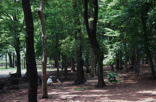 梅雨の合間、蘆花公園にて・・・