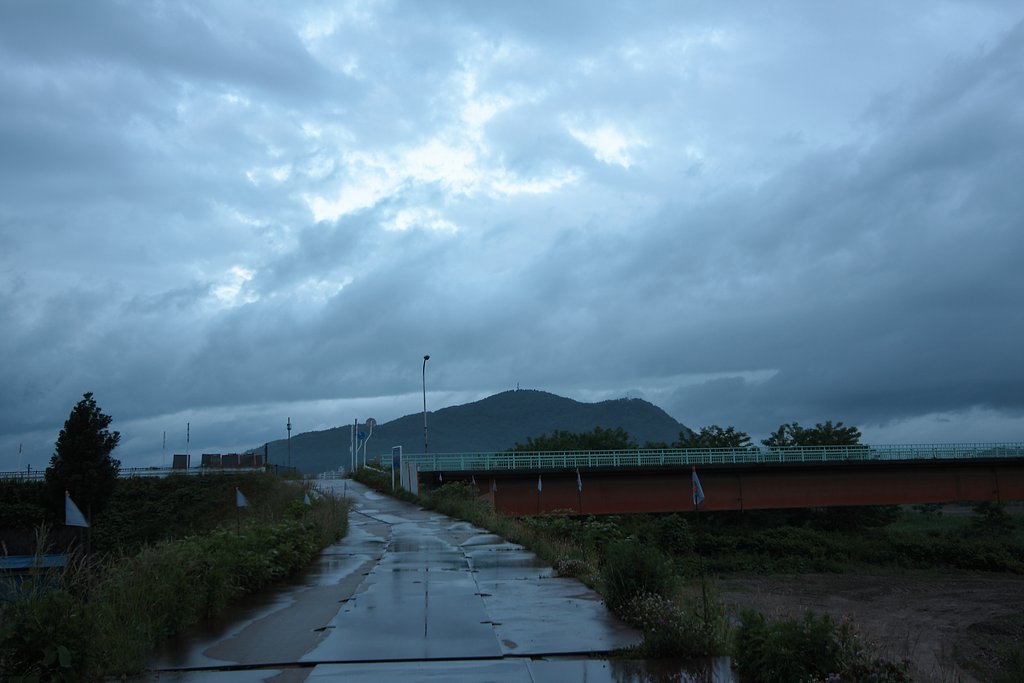 信夫山