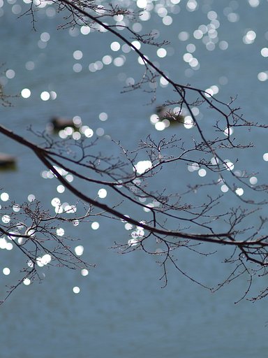 公園で