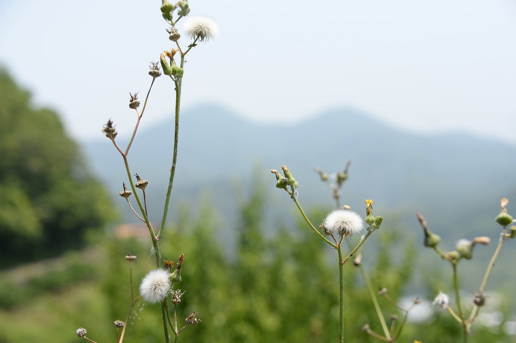 二上山