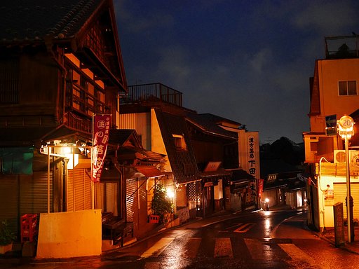 成田山の夜