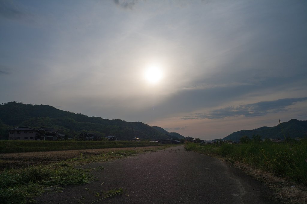 雨から晴れてきました。
