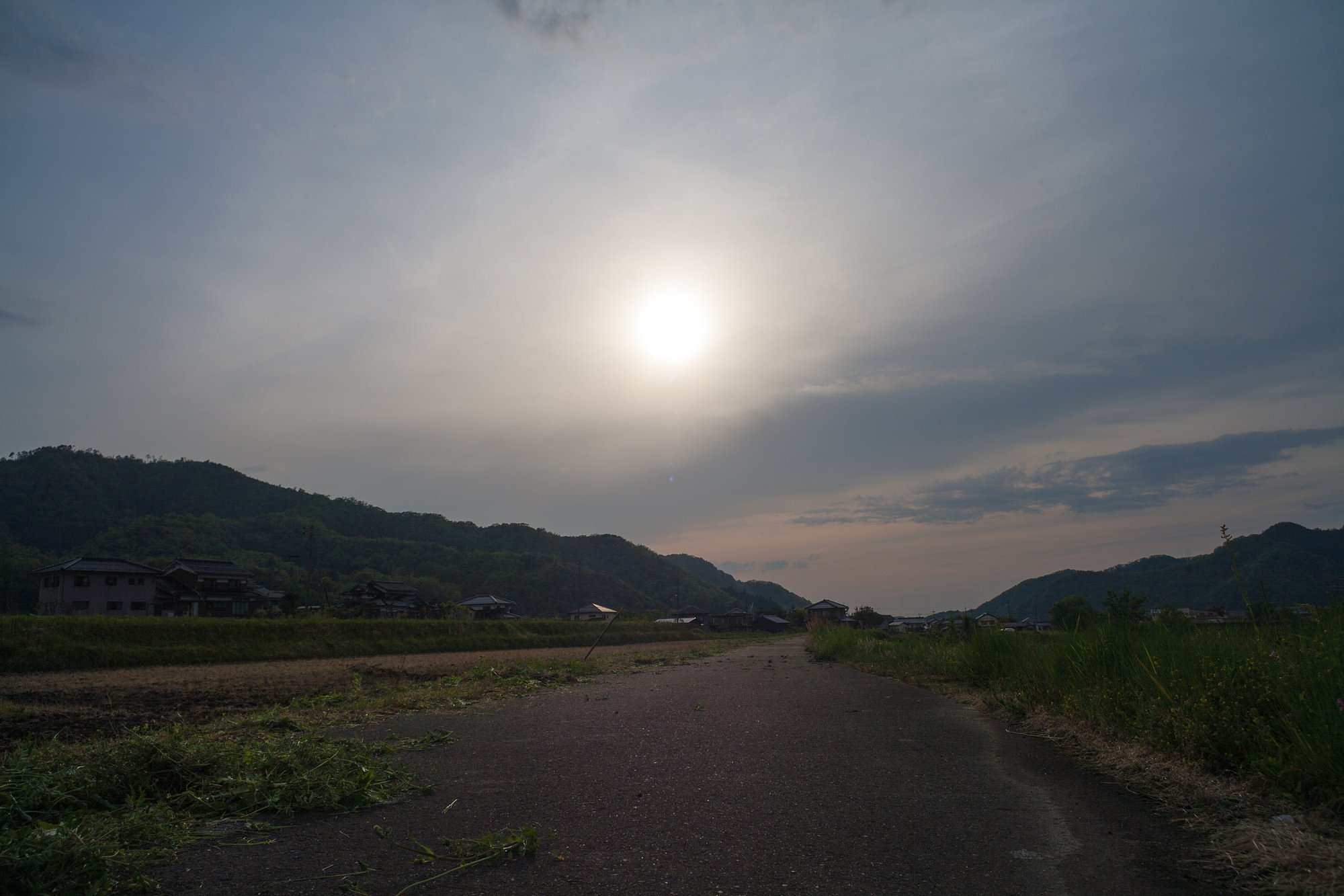 雨から晴れてきました。