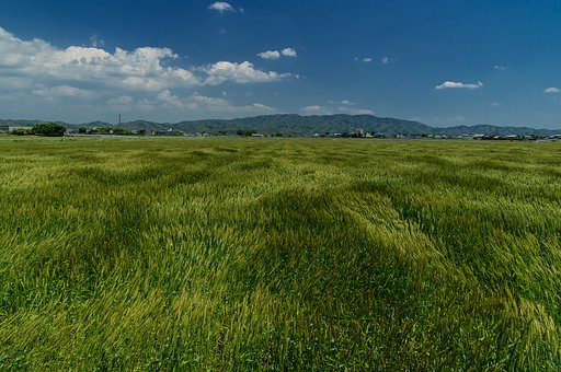 風吹き抜ける・・
