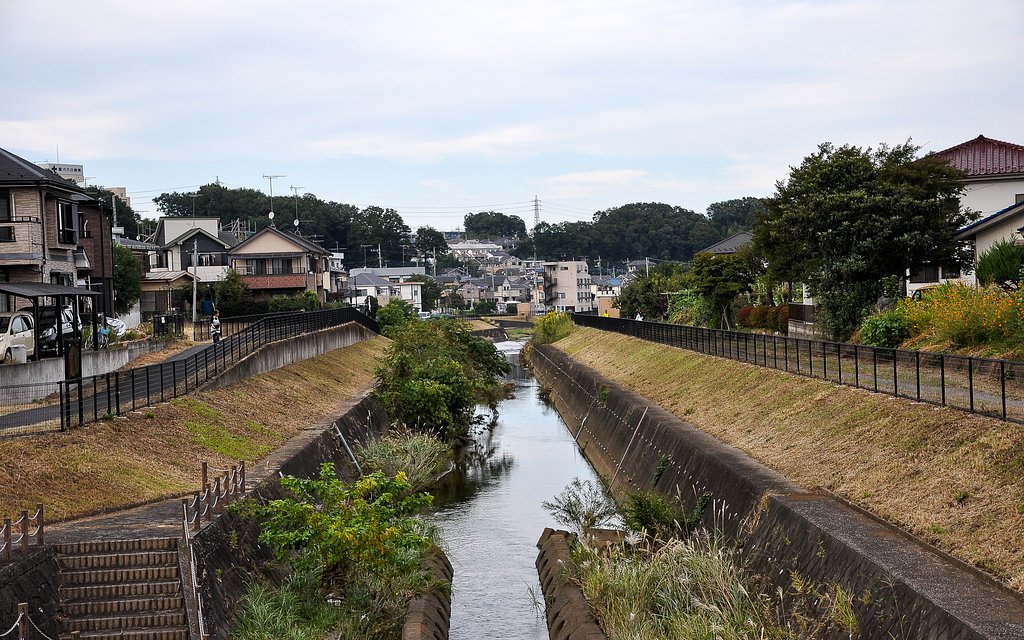 橋の上から