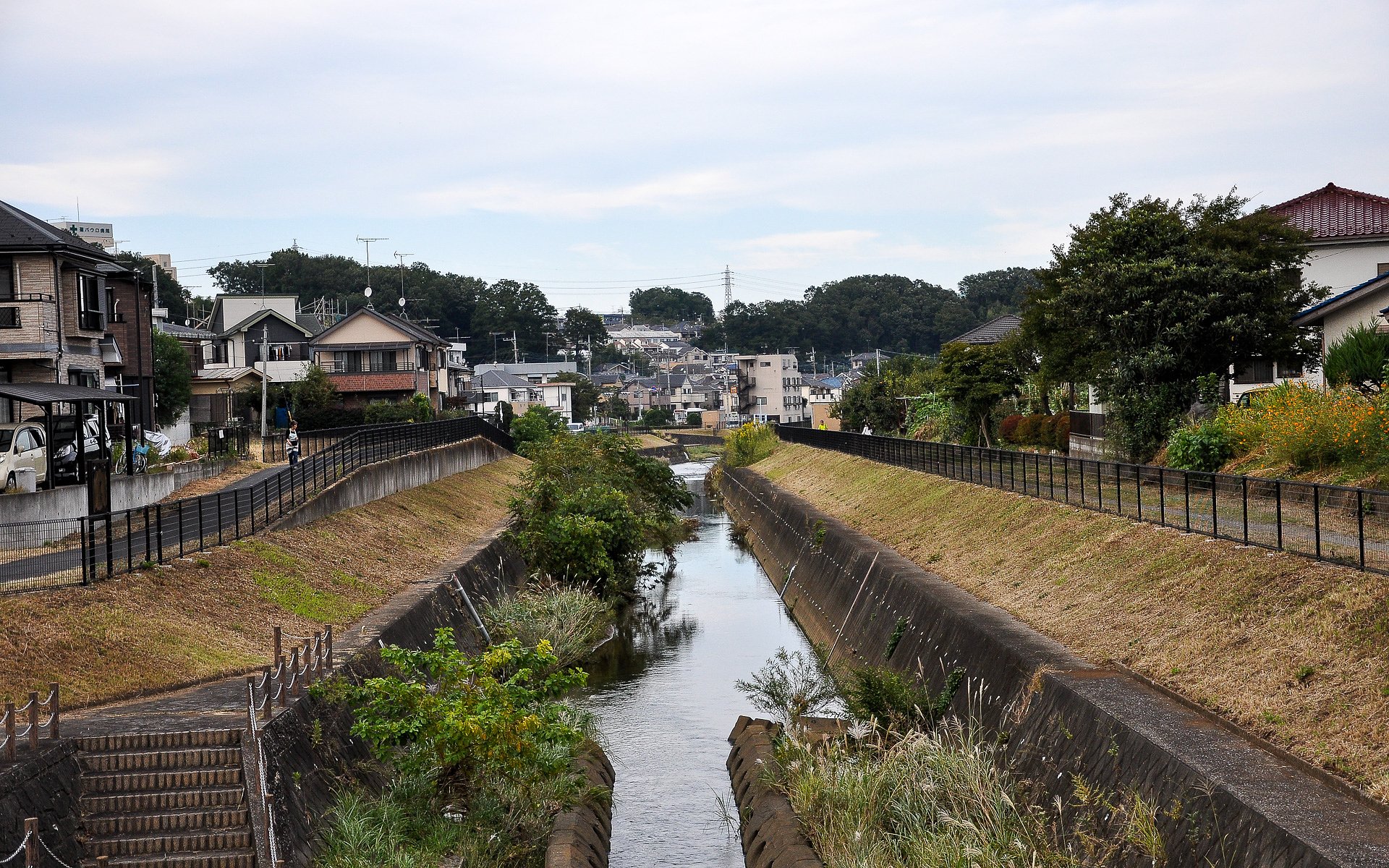 橋の上から