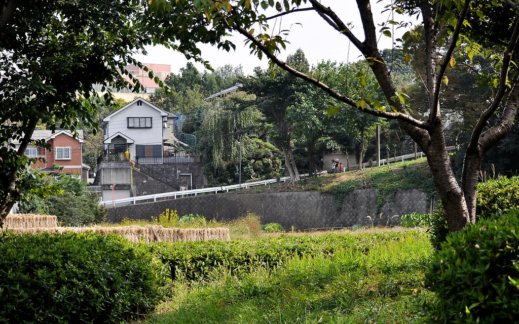 坂道の風景