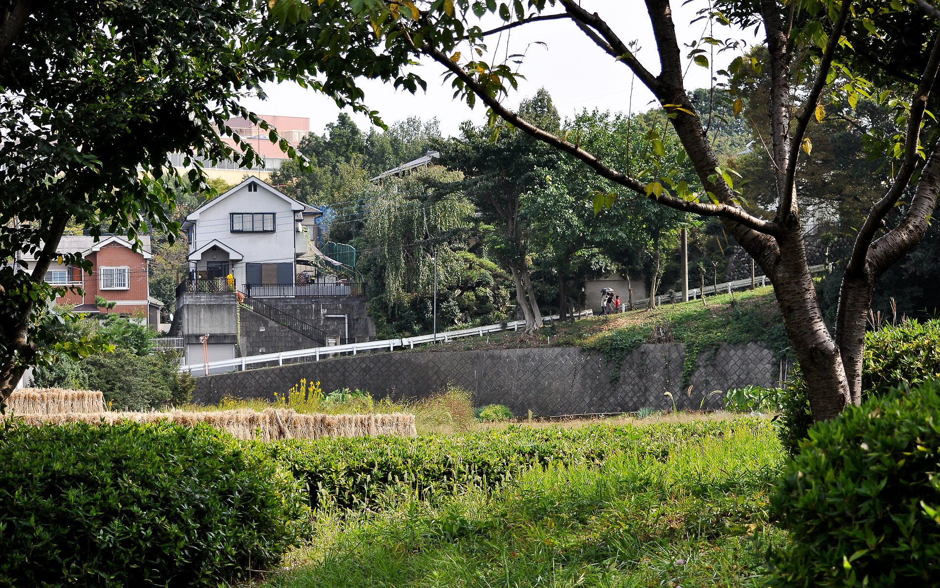 坂道の風景