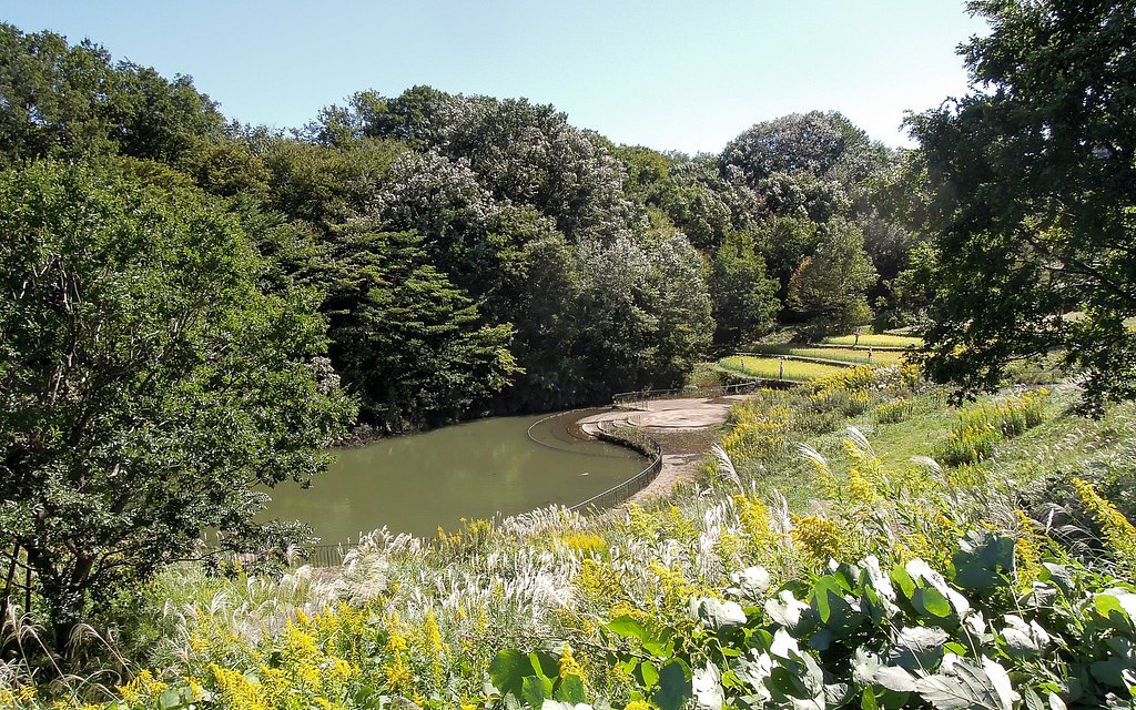 公園