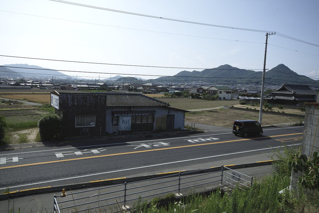 散歩写真