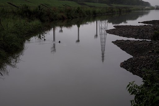 梅雨時の川面