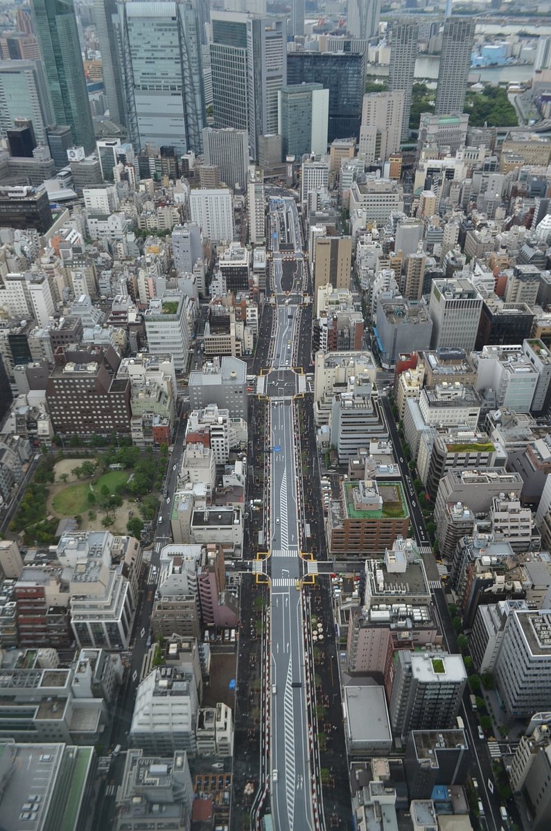 新虎通り