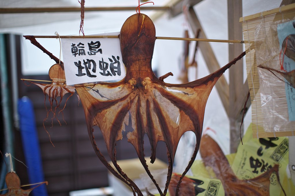 奥能登⑧