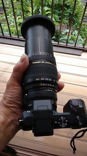 買っちゃった