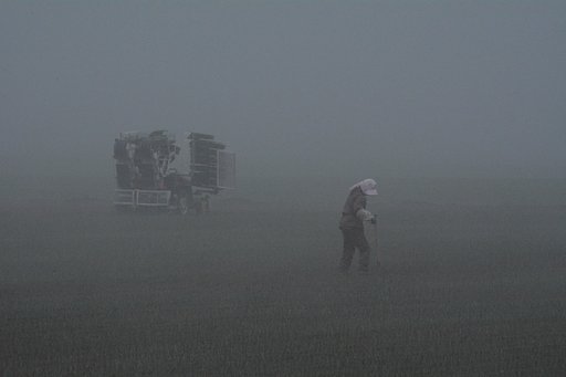 霧・農作業