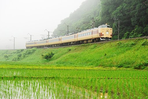 濃霧の中をゆく