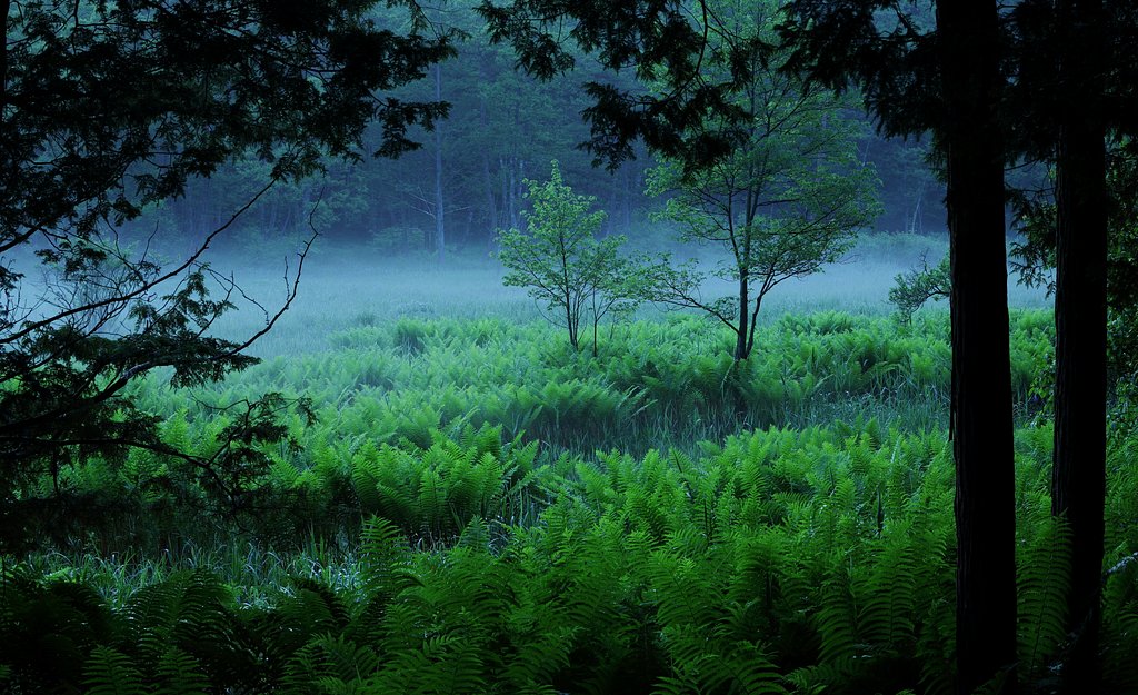 漂河