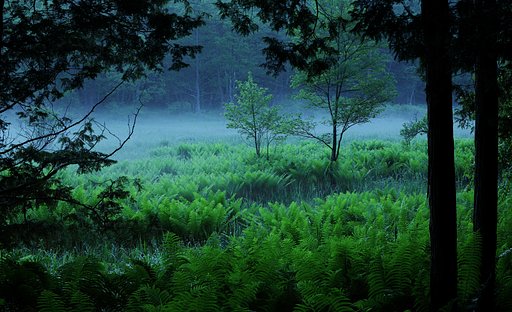 漂河