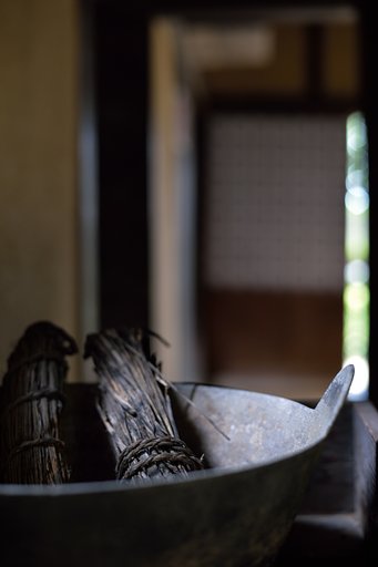 Y/C  P50mmF1.7