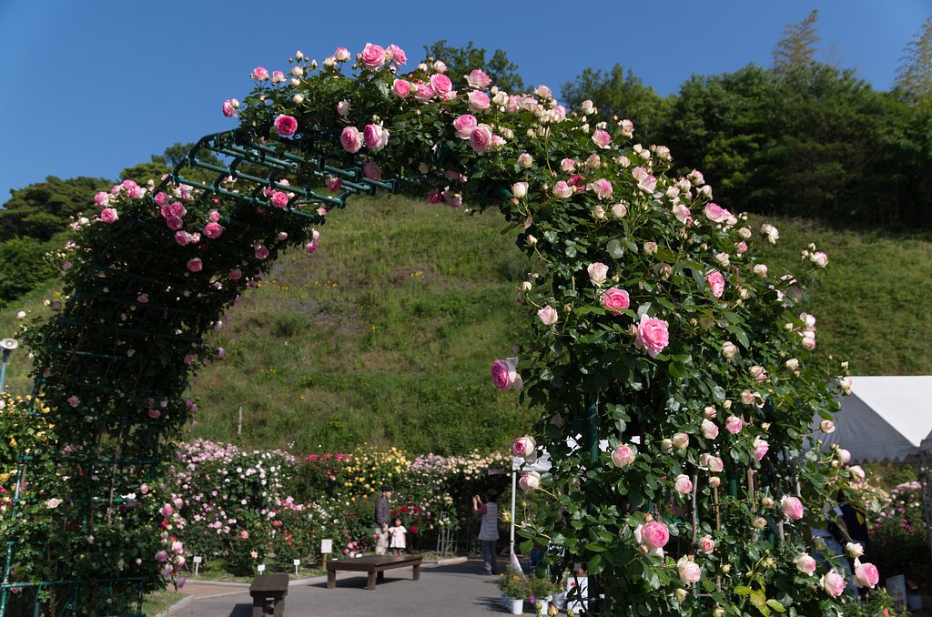 アーチ２