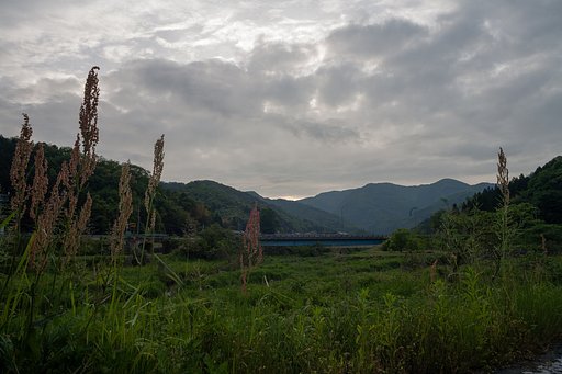 雨がパラパラ・・。