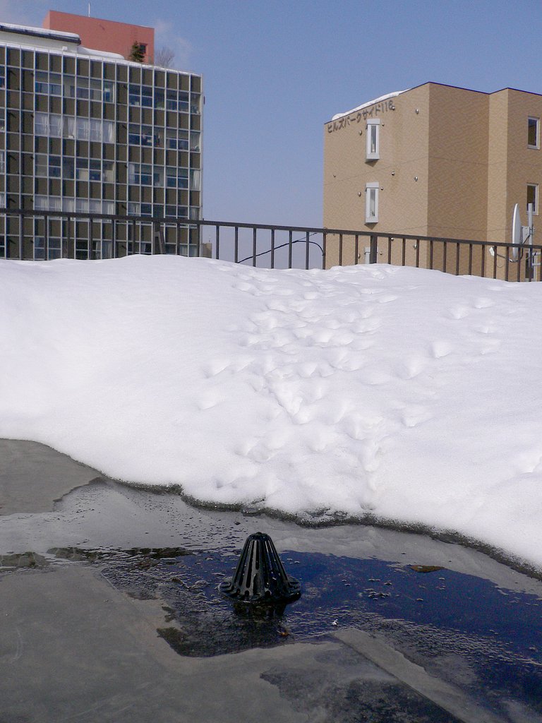 無落雪住宅