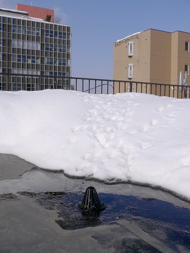無落雪住宅