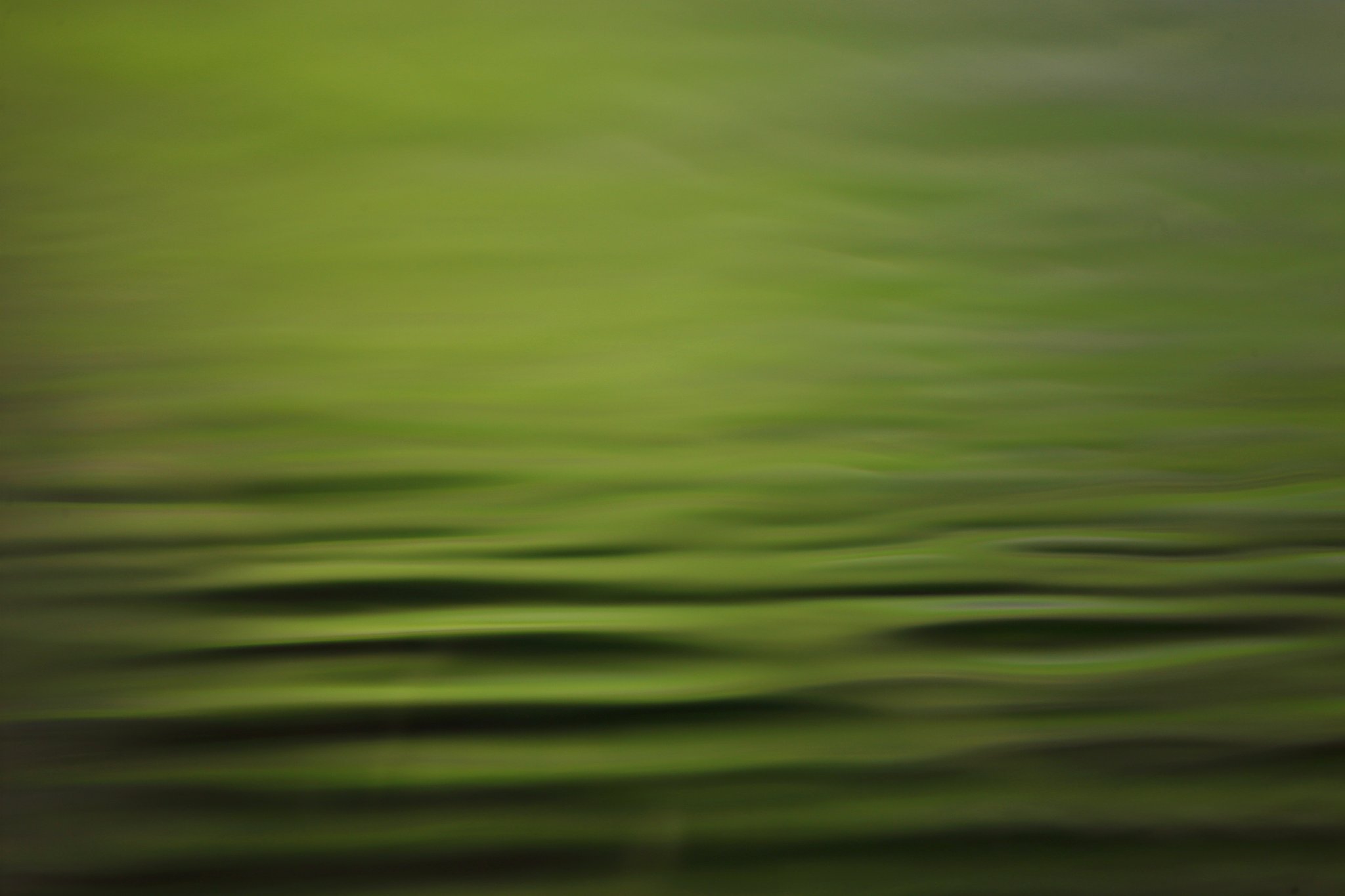 ripple