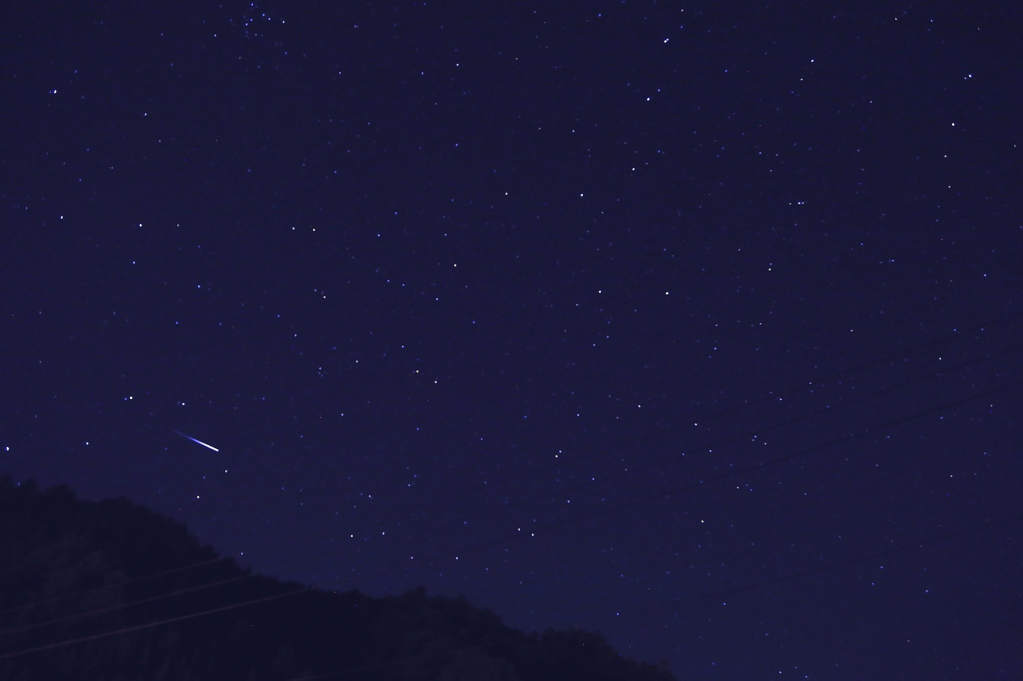 願い星