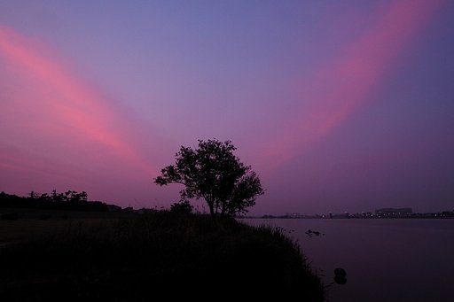 雲二筋赤く