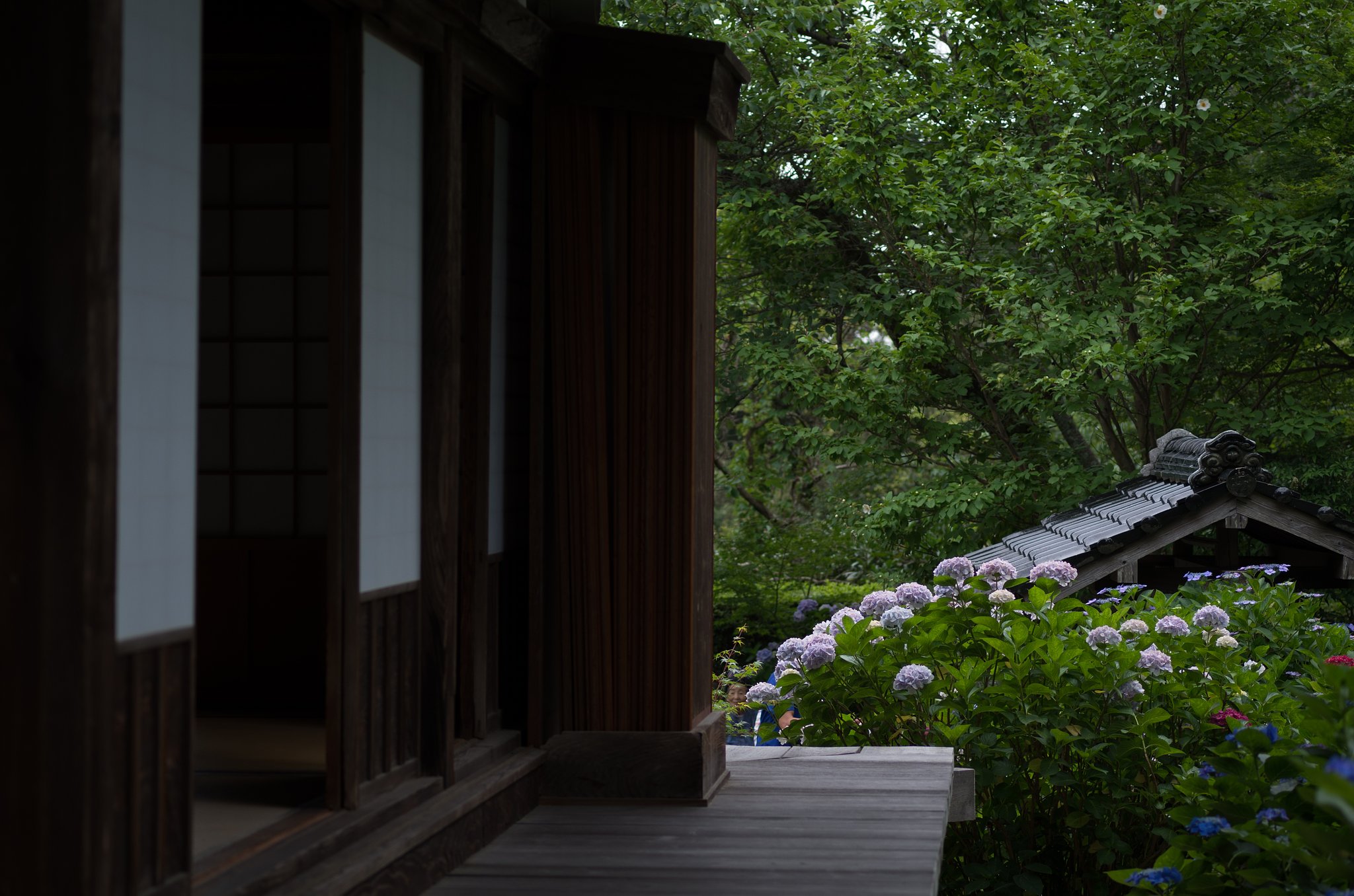 山寺