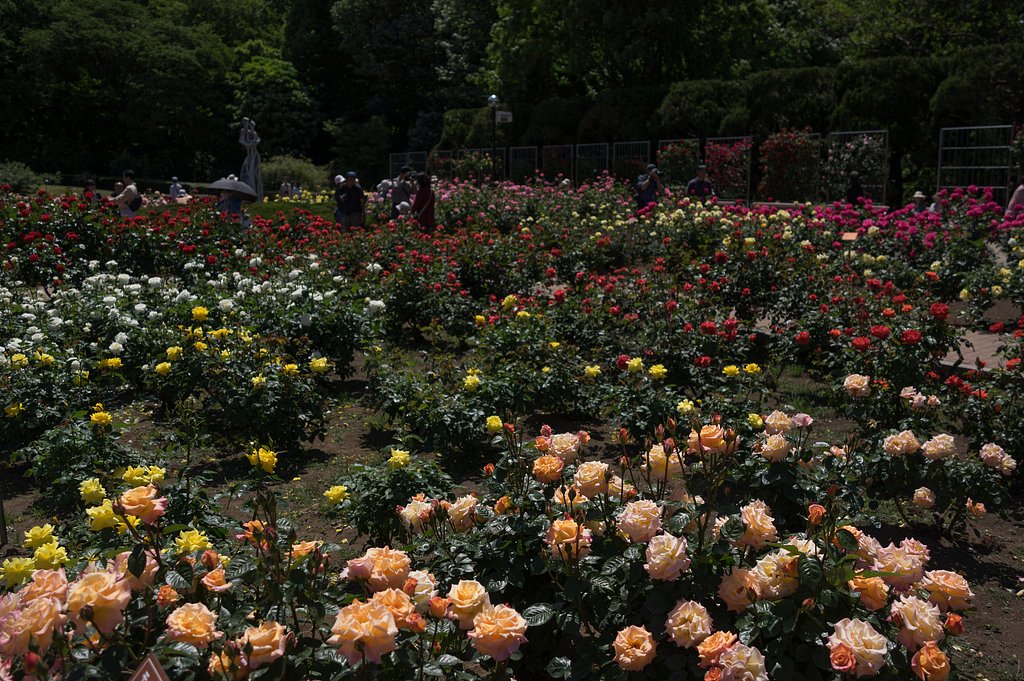 神代植物公園にて