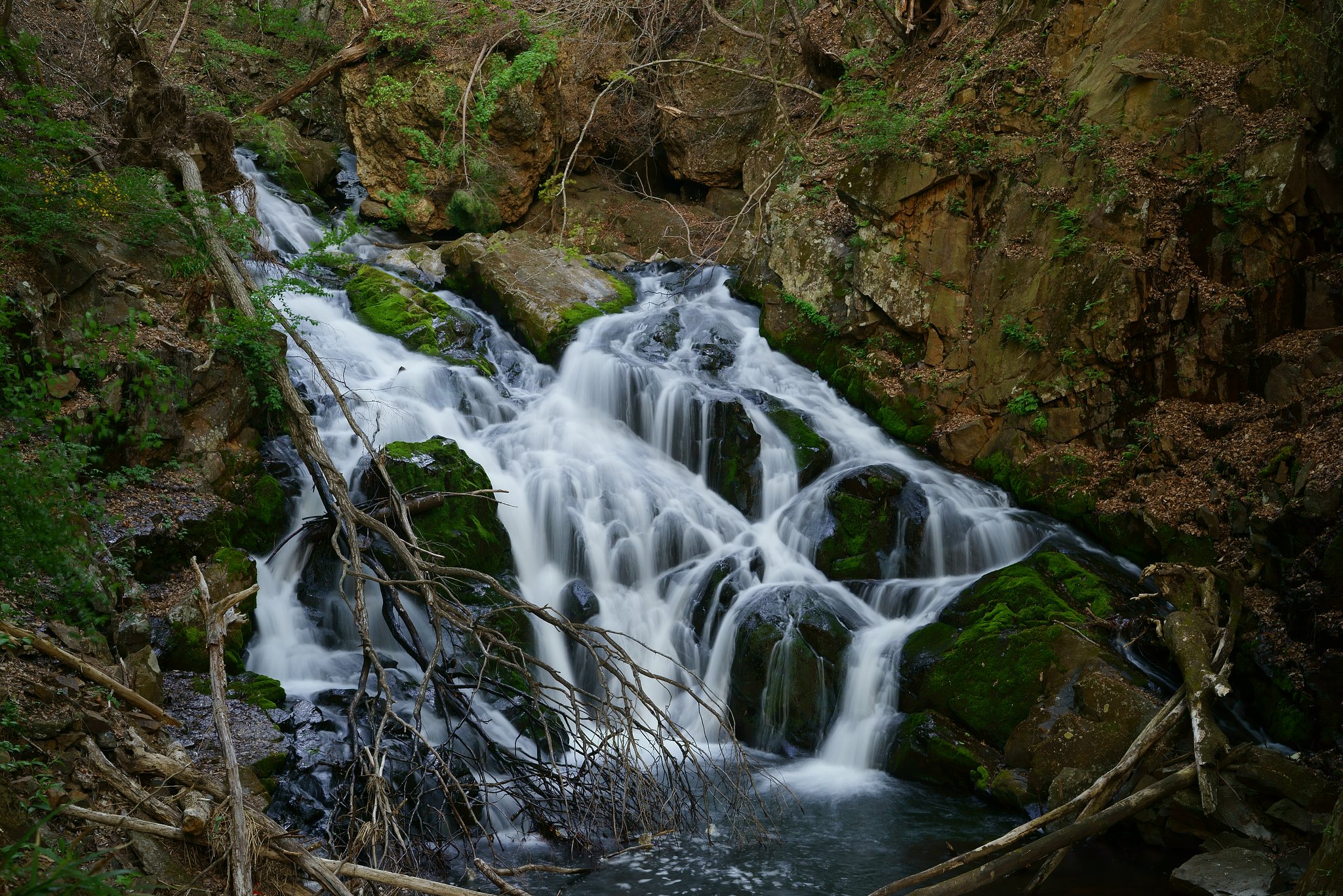 Vario-Tessar 24-70mm F4 ZA OSS