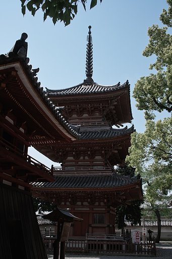 DP2　風景