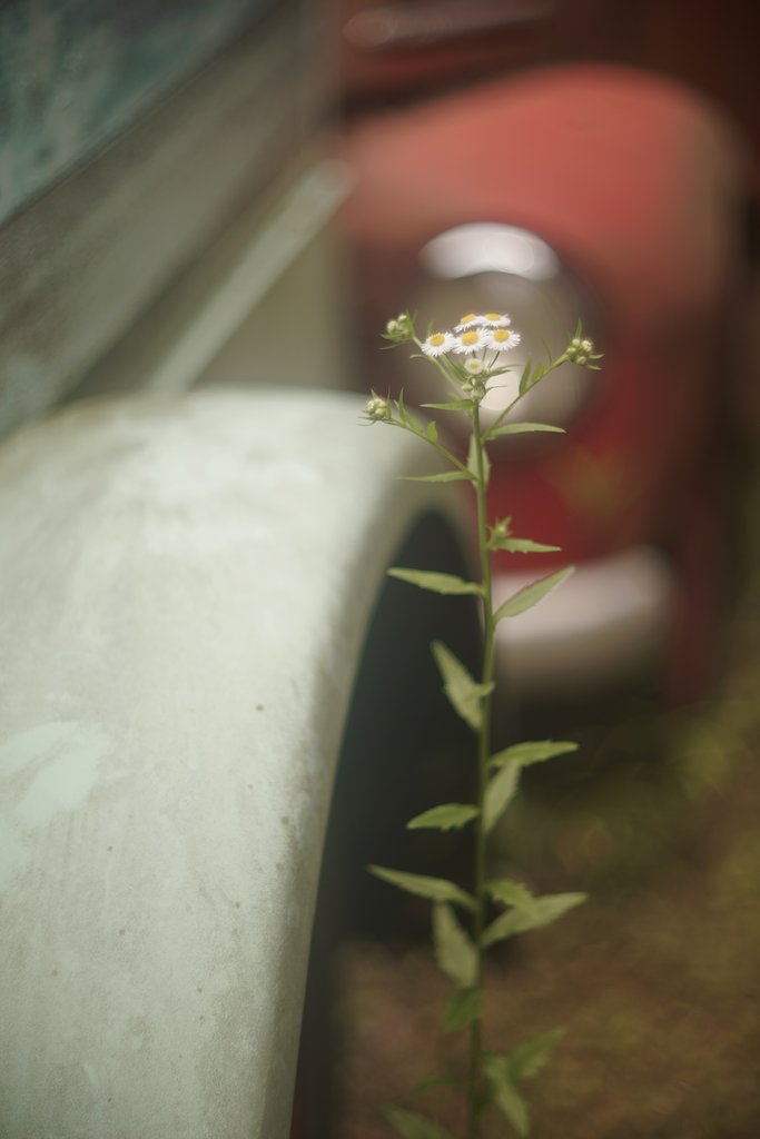 ズマレックス　85mmF1.5