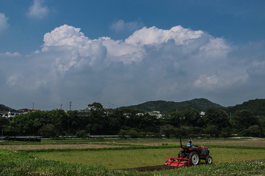 夏雲湧く