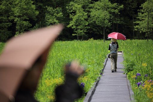 天気雨とカメラマン