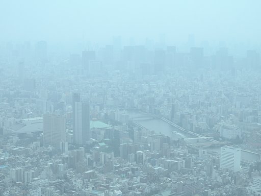 ウォーターフロント