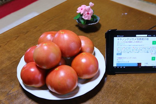 菜園で採れました