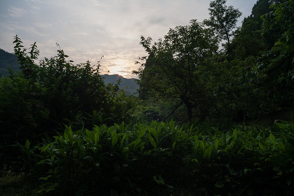 斑雲の朝日の出・・。