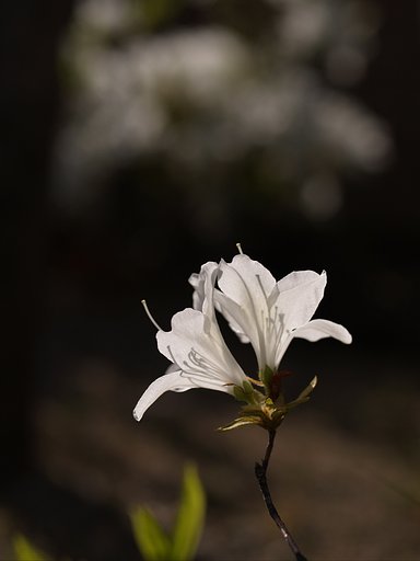 えーっと