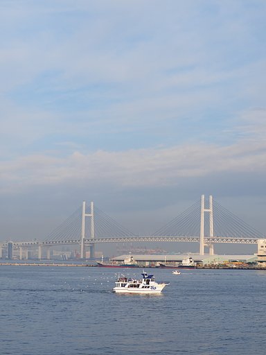 カモメの吹き流し
