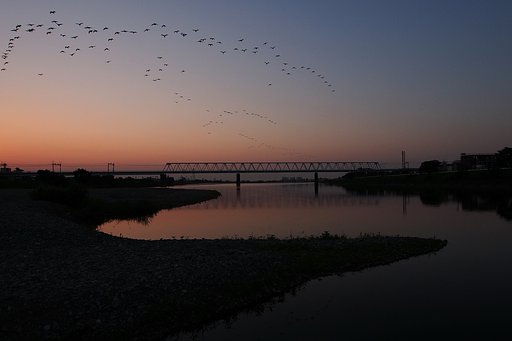 グラデーション飛行