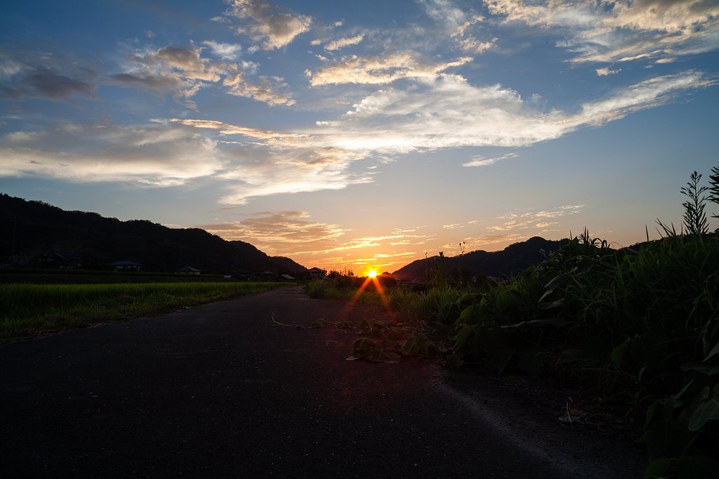 素晴らしい夕日の入り。