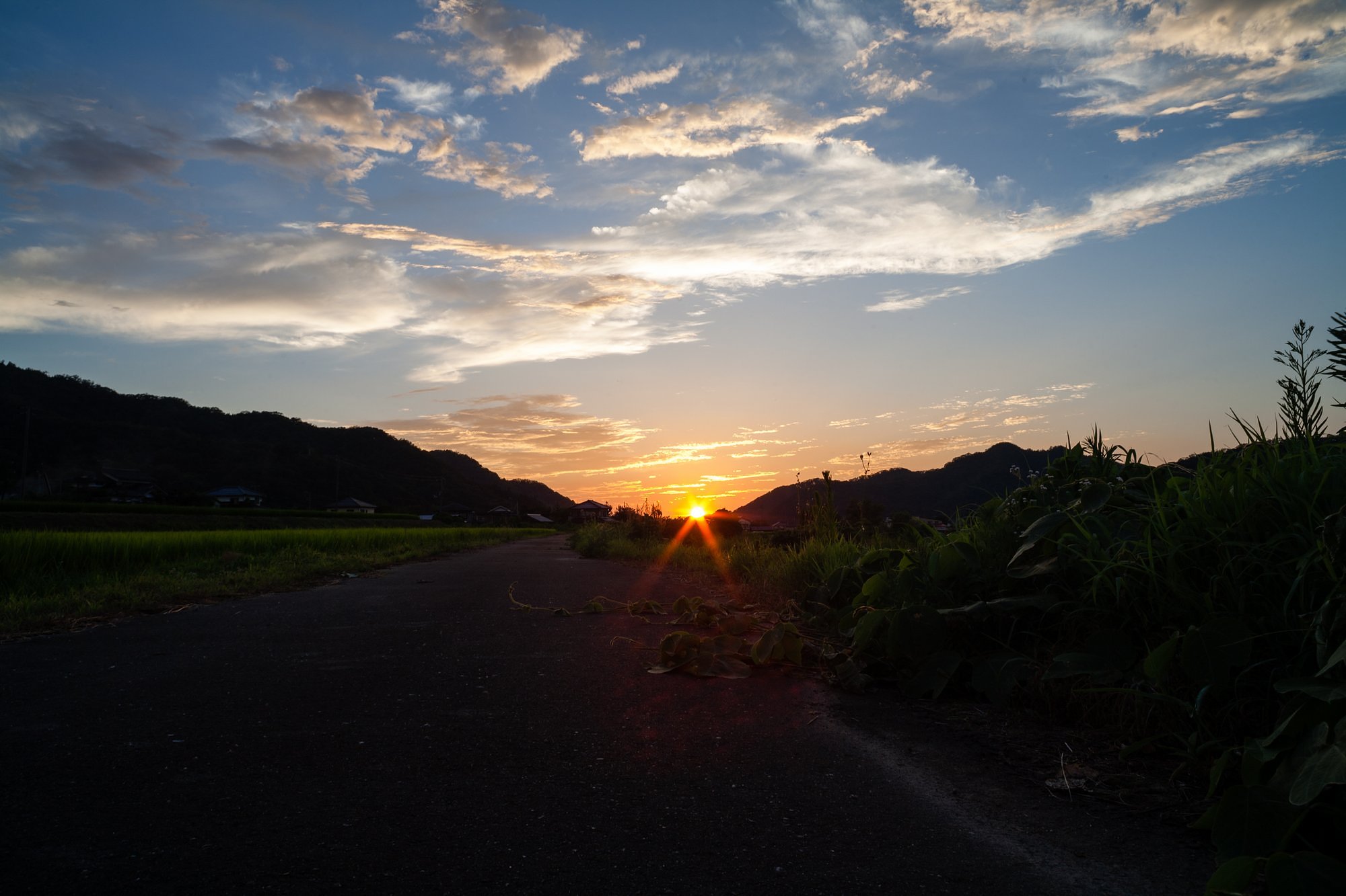 素晴らしい夕日の入り。