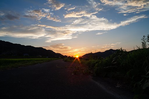 素晴らしい夕日の入り。
