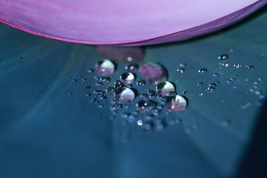 水玉模様