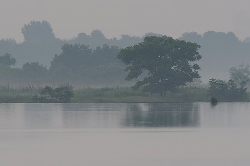 霧の夜明け