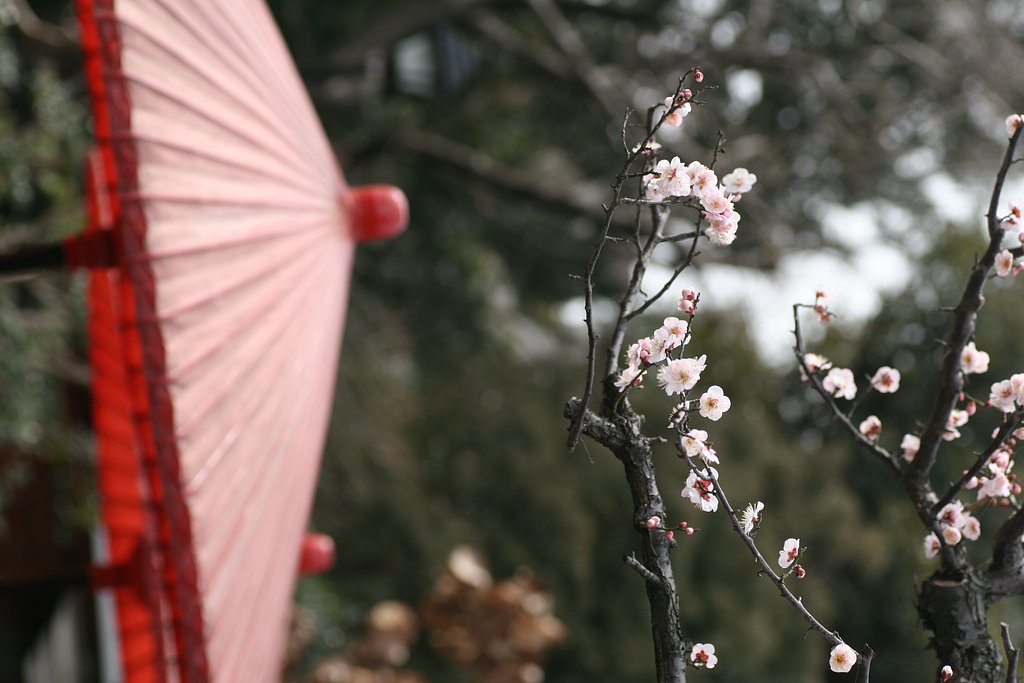 祭典間近か